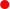 Punkt